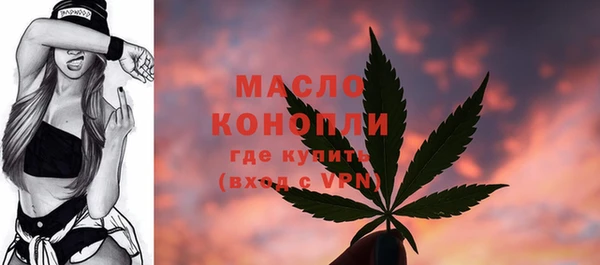 ПСИЛОЦИБИНОВЫЕ ГРИБЫ Ельня