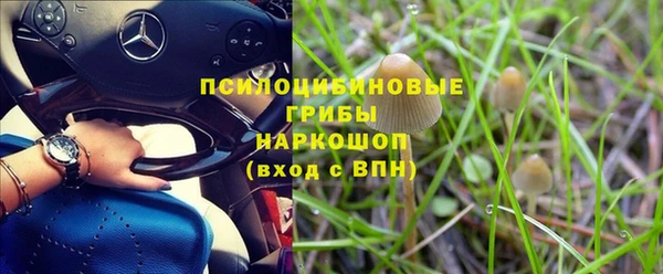 ПСИЛОЦИБИНОВЫЕ ГРИБЫ Ельня