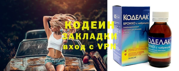 ПСИЛОЦИБИНОВЫЕ ГРИБЫ Ельня