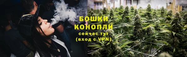 молекула духа Дмитриев